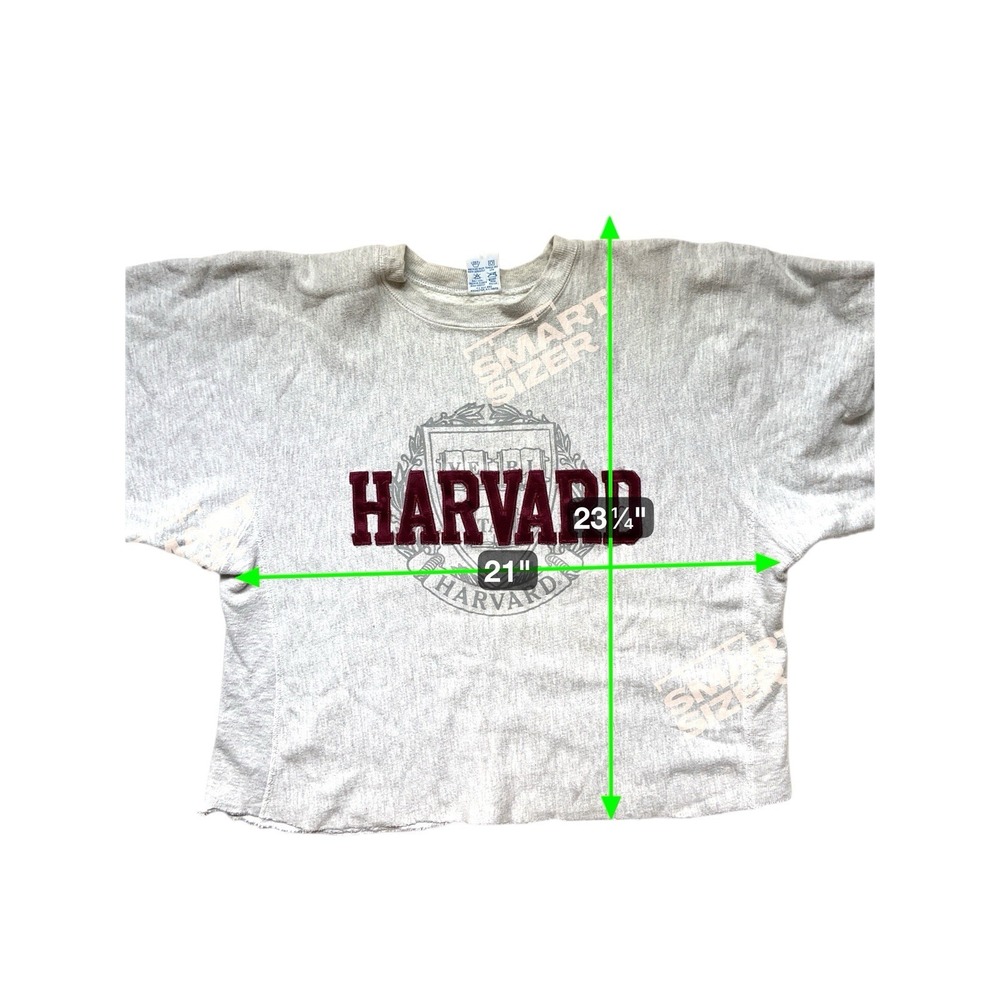 Vintage 90s Champion Reverse Weave Harvard Cut Sweatshirt Size L Gray Ivy League - Picture 7 of 14